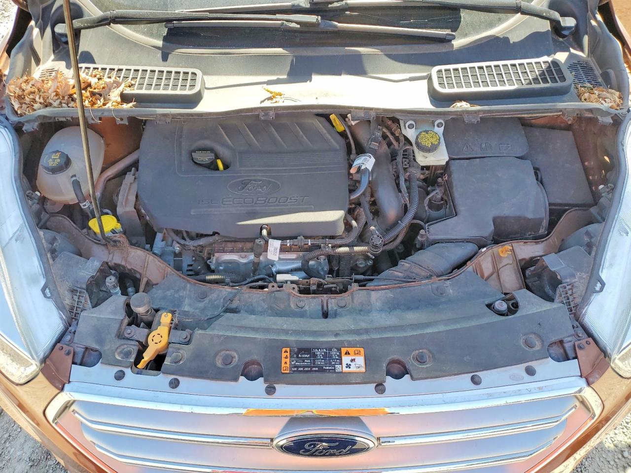 2017 FORD ESCAPE SE photo 12