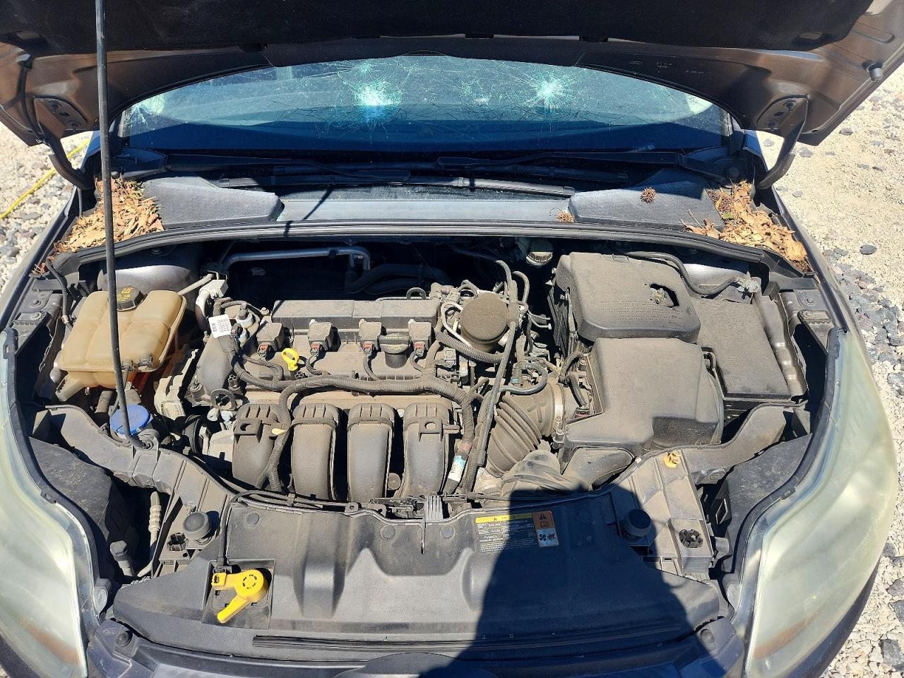 2014 FORD FOCUS SE photo 21