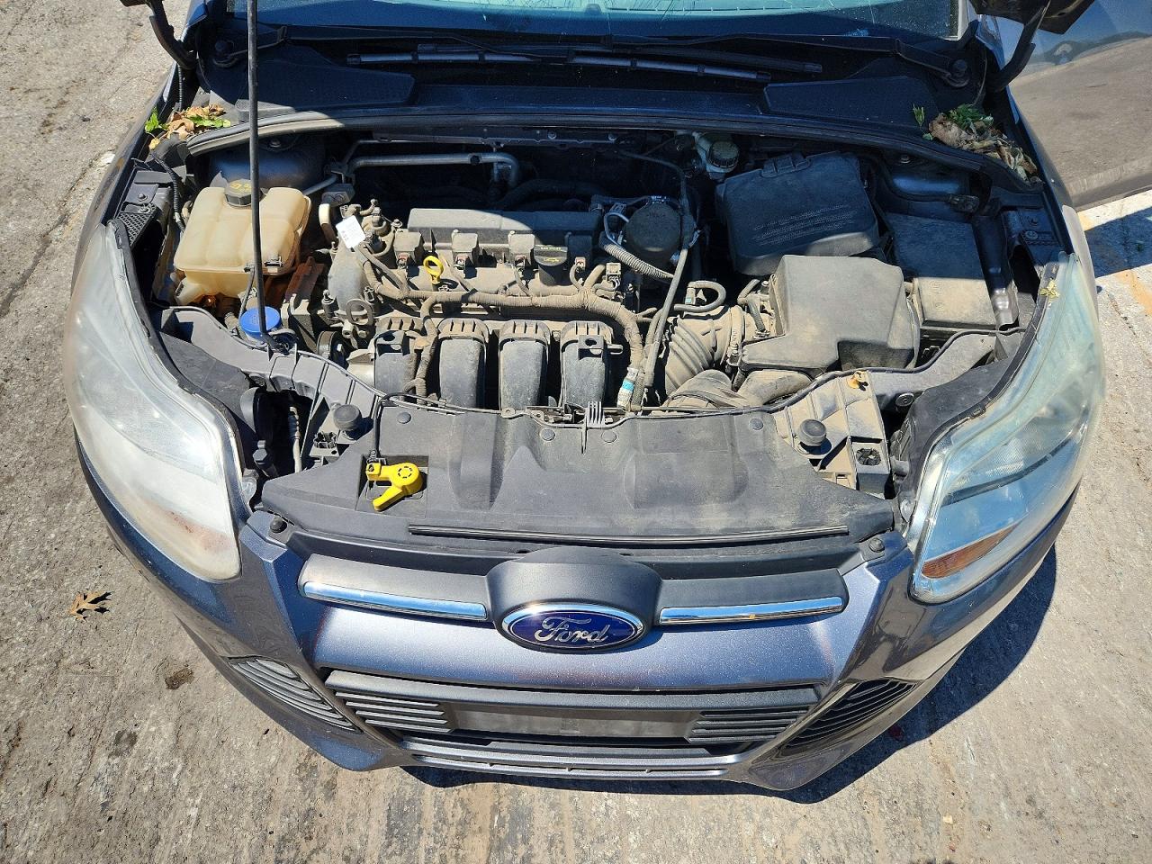 2014 FORD FOCUS SE photo 23