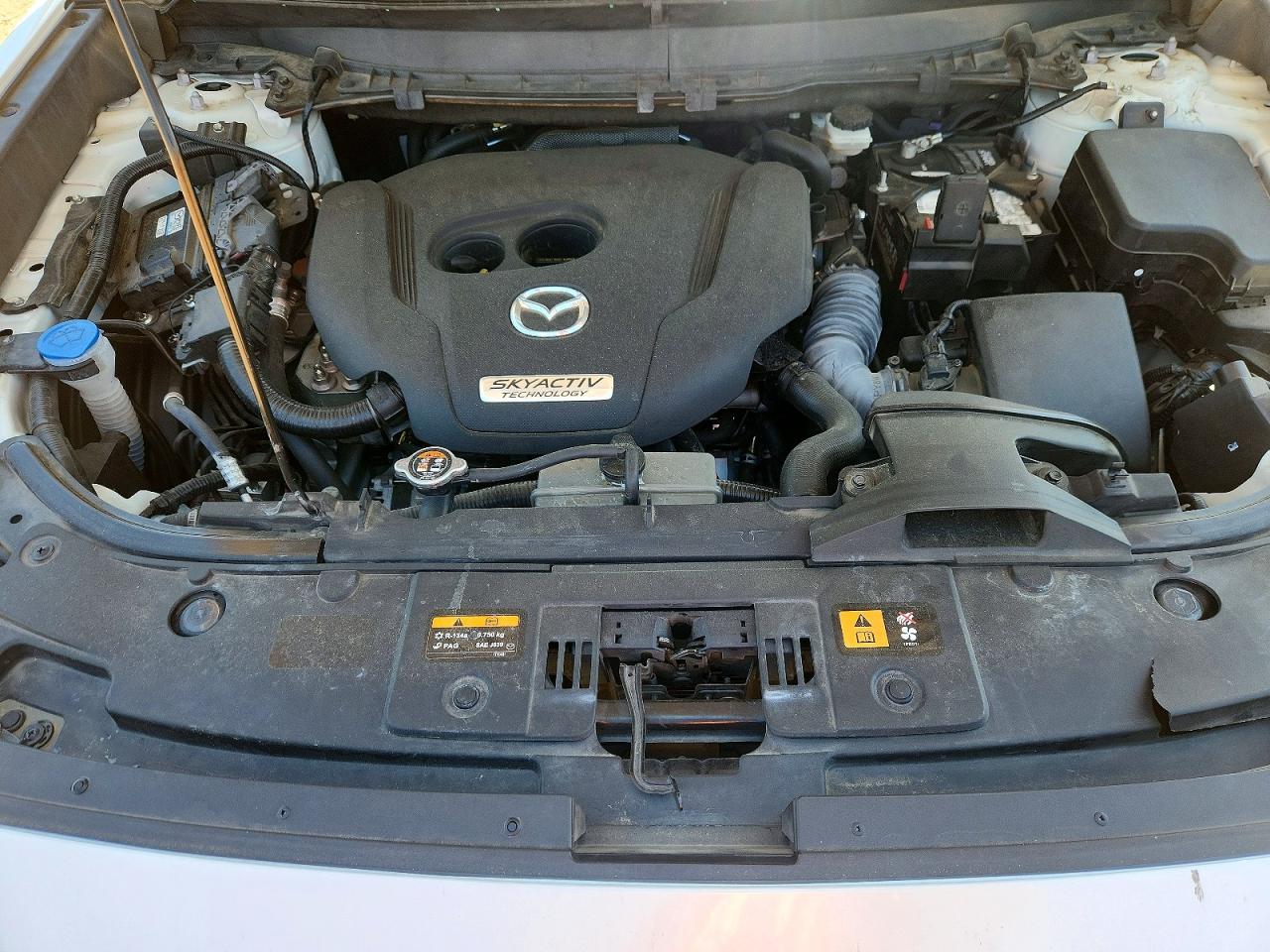 2018 MAZDA CX-9 SIGNATURE photo 23