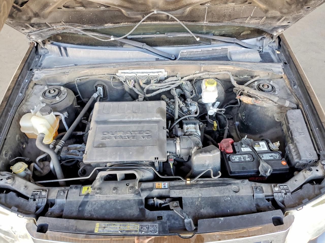 2010 FORD ESCAPE XLT photo 11