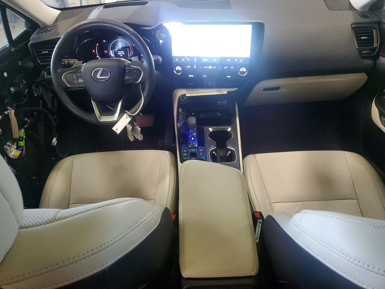 2025 LEXUS NX 350 LUXURY photo 8