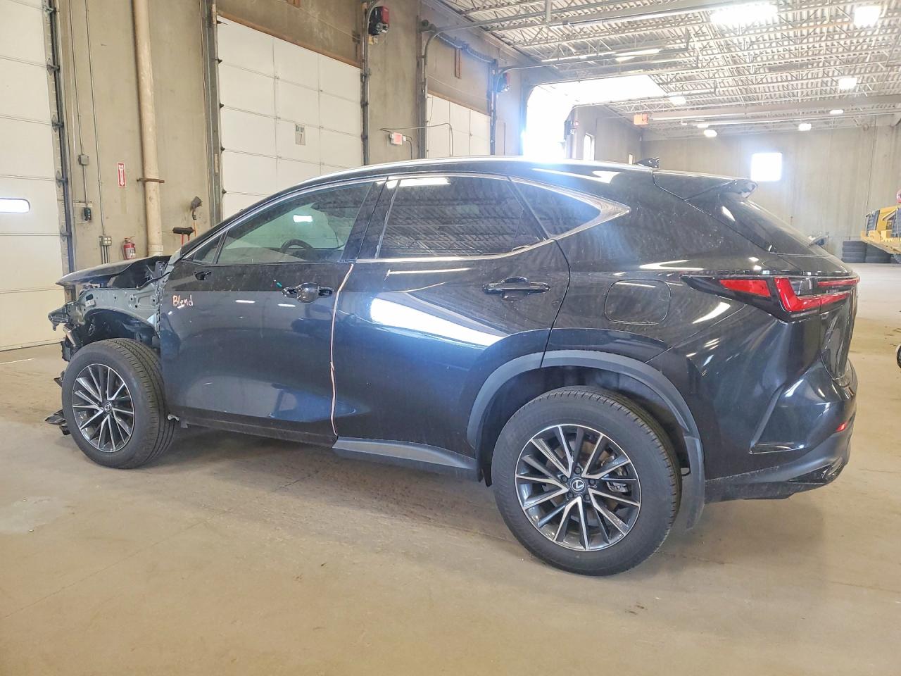 2025 LEXUS NX 350 LUXURY photo 2