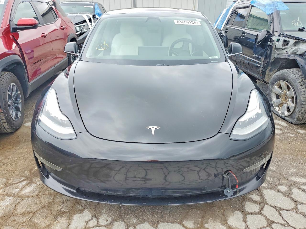 2019 TESLA MODEL 3 photo 13