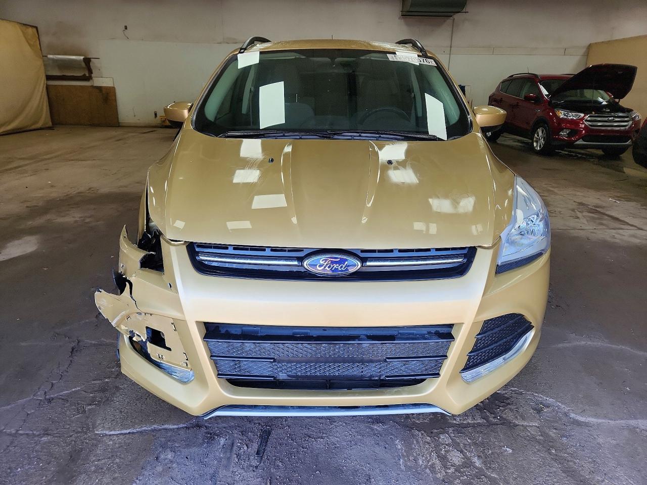 2014 FORD ESCAPE SE photo 5