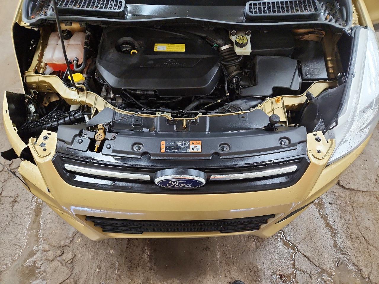 2014 FORD ESCAPE SE photo 12