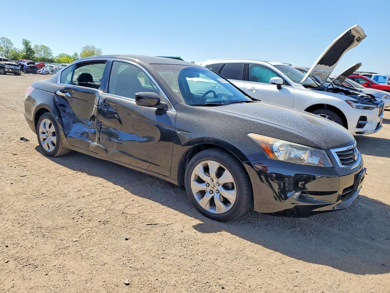 2010 HONDA ACCORD EXL photo 7