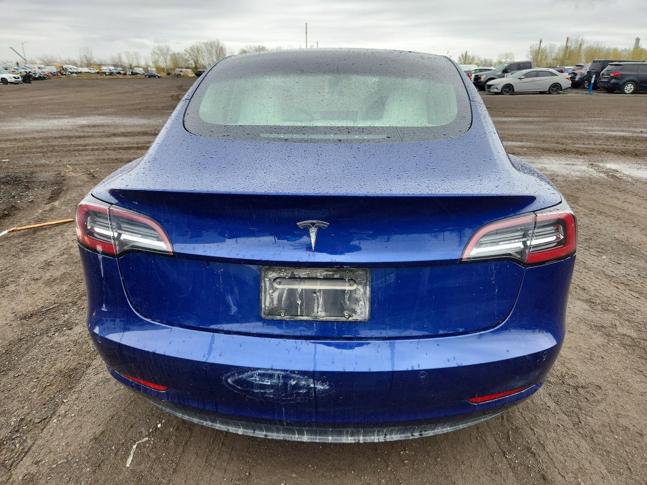 2020 TESLA MODEL 3 photo 11