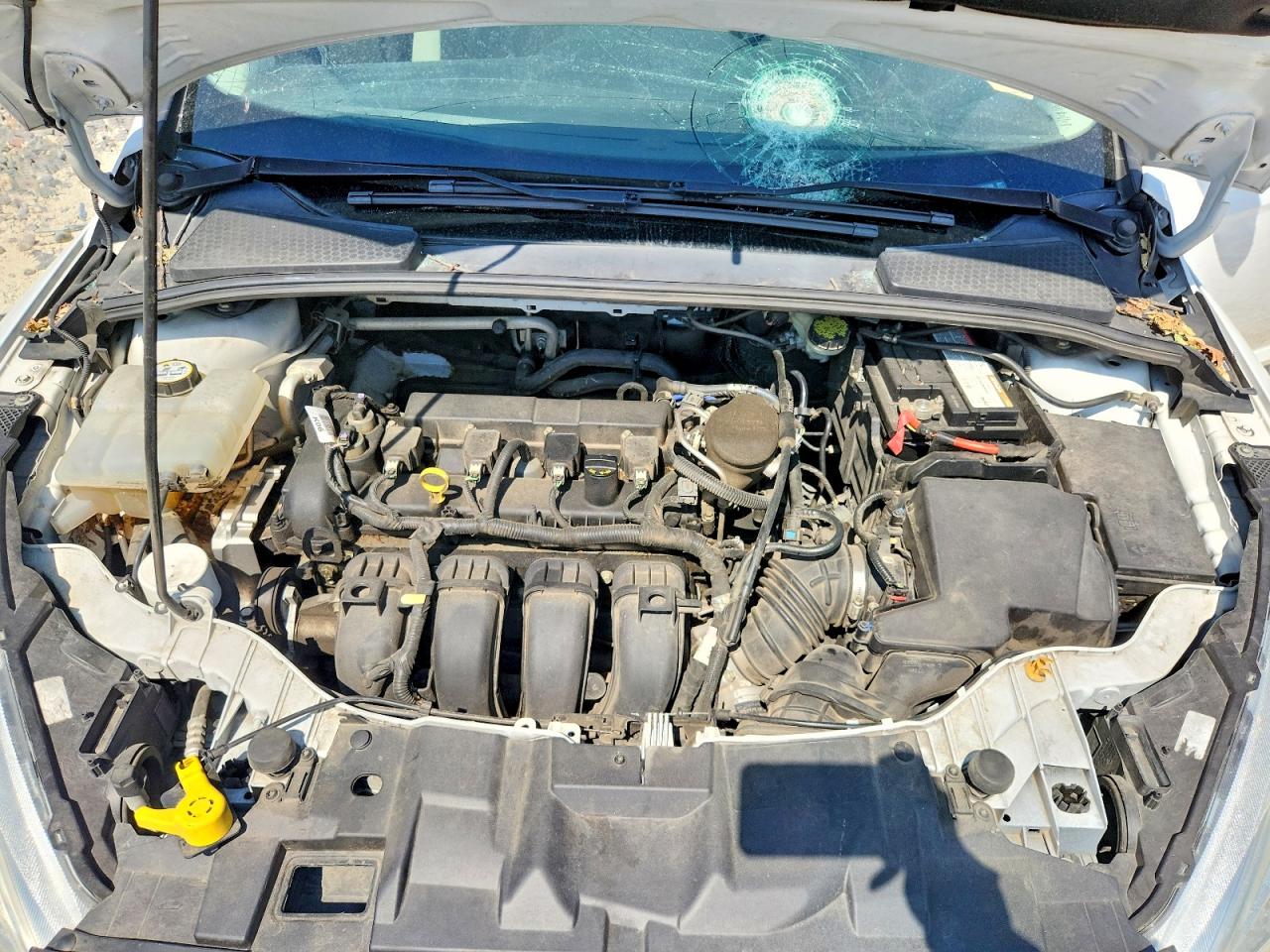 2015 FORD FOCUS SE photo 11