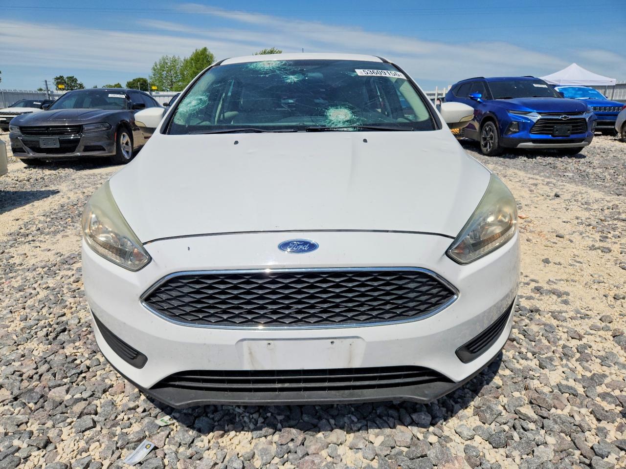 2015 FORD FOCUS SE photo 5