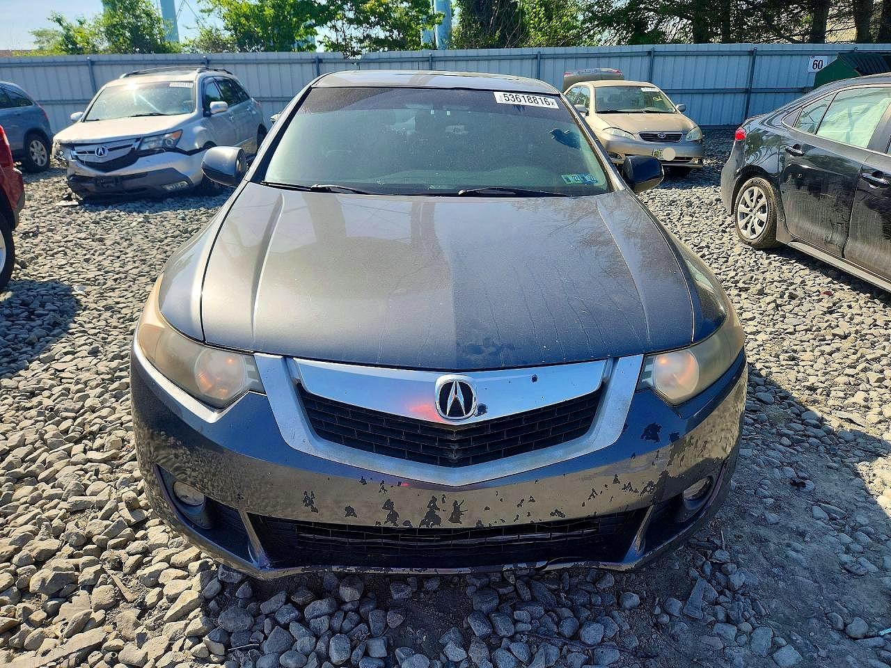2009 ACURA TSX photo 9