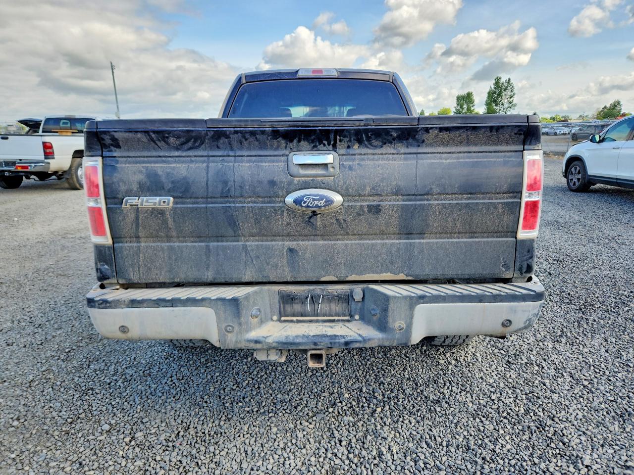 2013 FORD F150 SUPERCREW photo 6