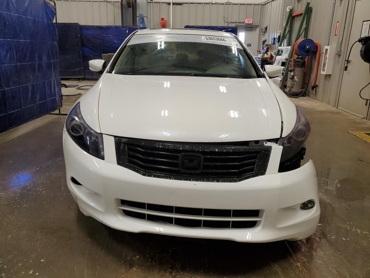 2009 HONDA ACCORD EX photo 5