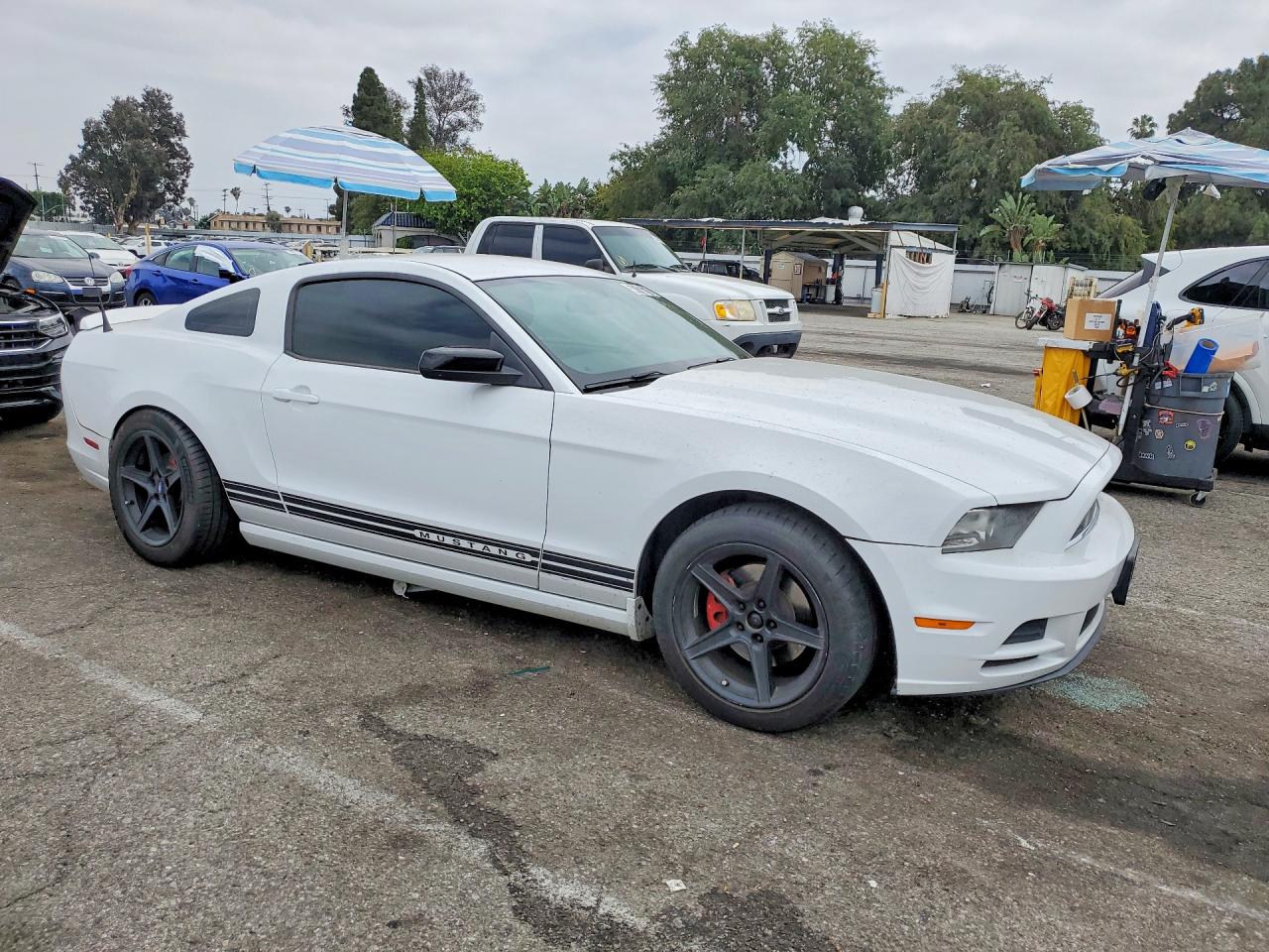 2014 FORD MUSTANG photo 10
