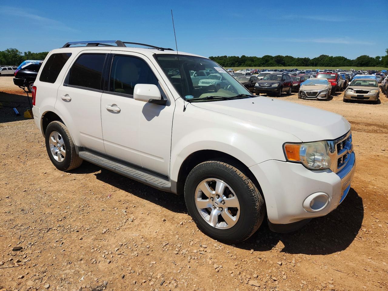 2010 FORD ESCAPE LIMITED photo 7