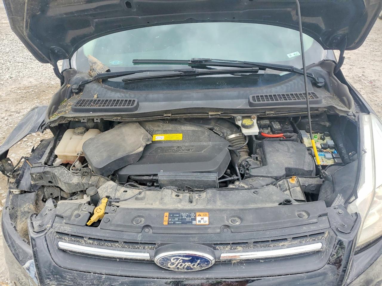 2016 FORD ESCAPE SE photo 41