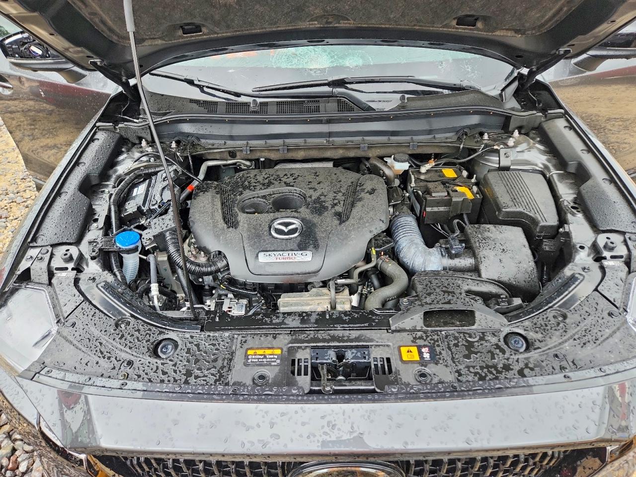 2025 MAZDA CX-5 PREMIUM photo 12
