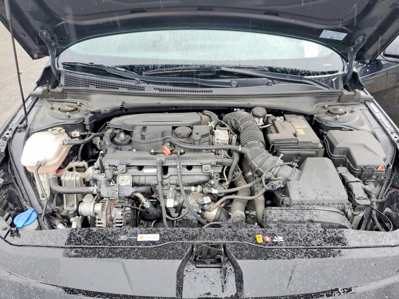 2023 HYUNDAI ELANTRA N LINE photo 31