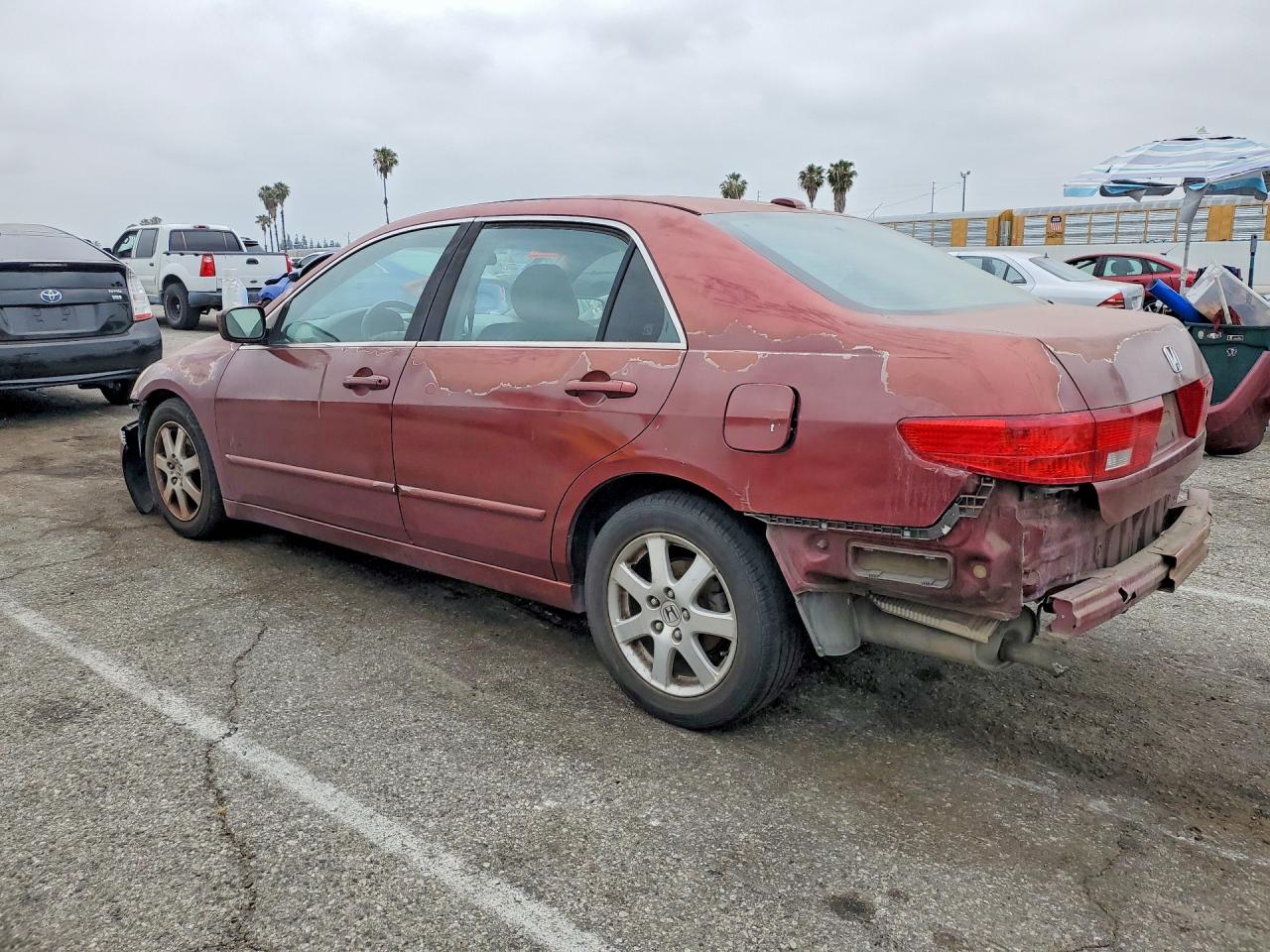 2005 HONDA ACCORD EX photo 3