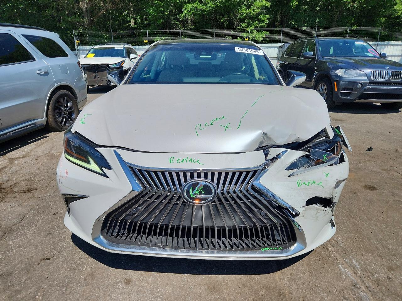 2019 LEXUS ES 350 photo 9