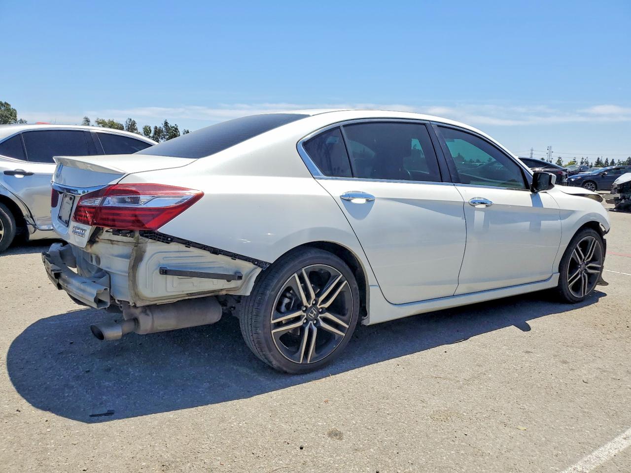 2017 HONDA ACCORD SPORT SPECIAL EDITION photo 5
