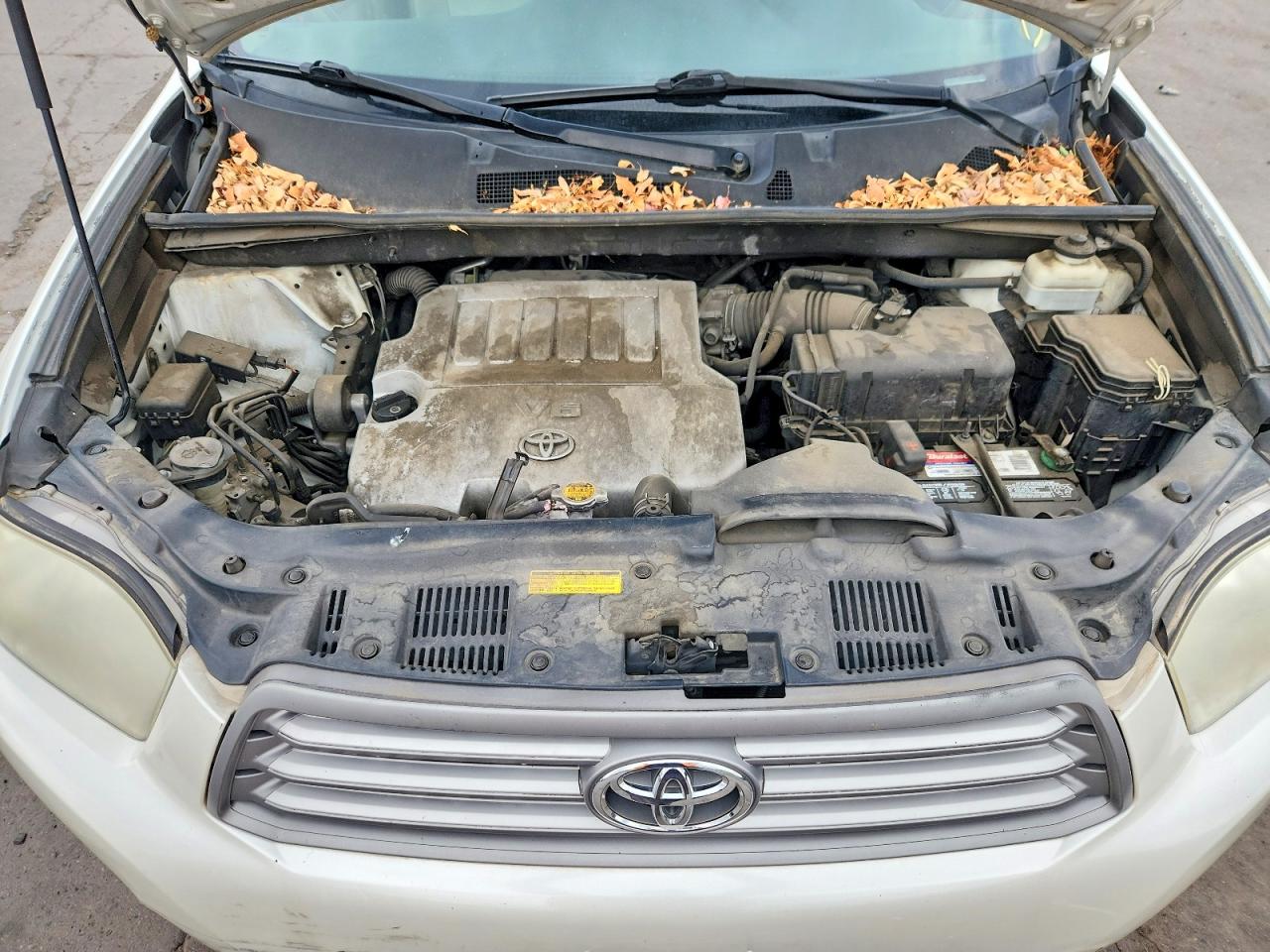 2010 TOYOTA HIGHLANDER SE photo 12