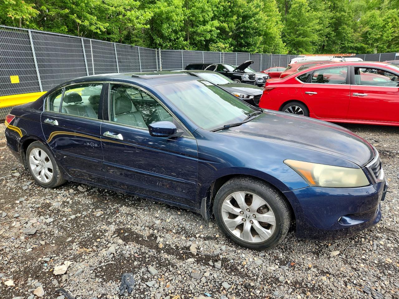 2010 HONDA ACCORD EXL photo 4