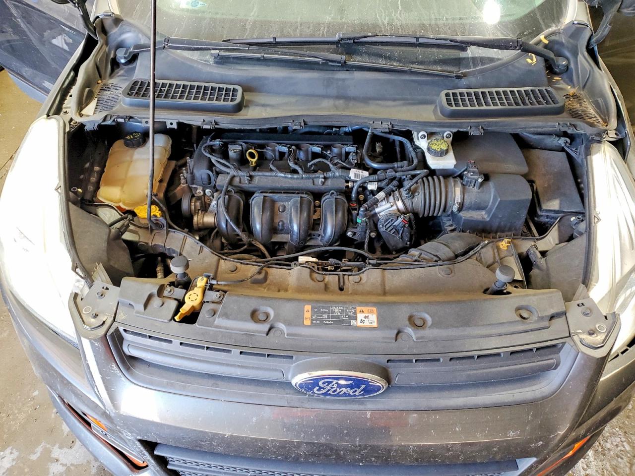 2016 FORD ESCAPE S photo 12