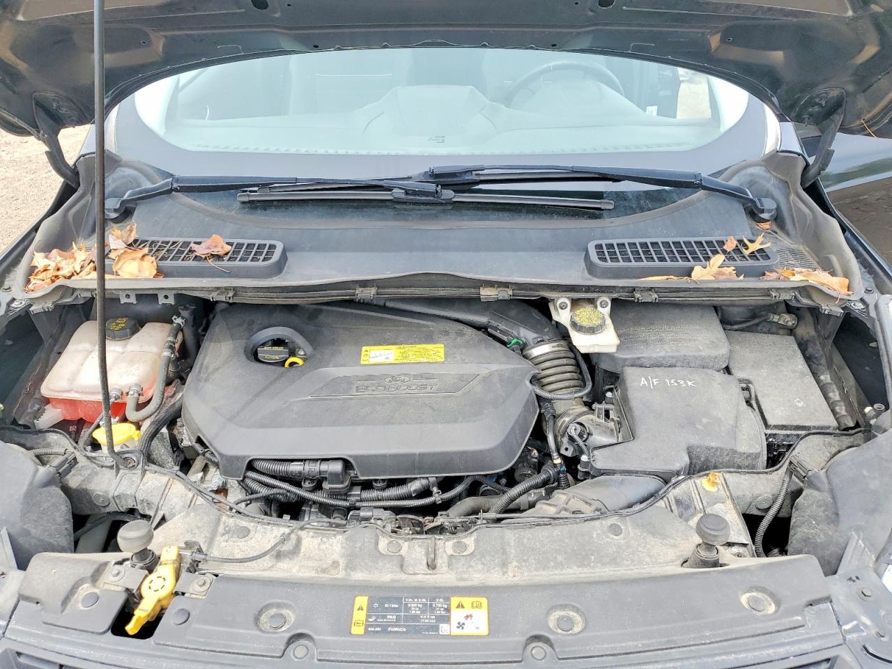 2014 FORD ESCAPE SE photo 34