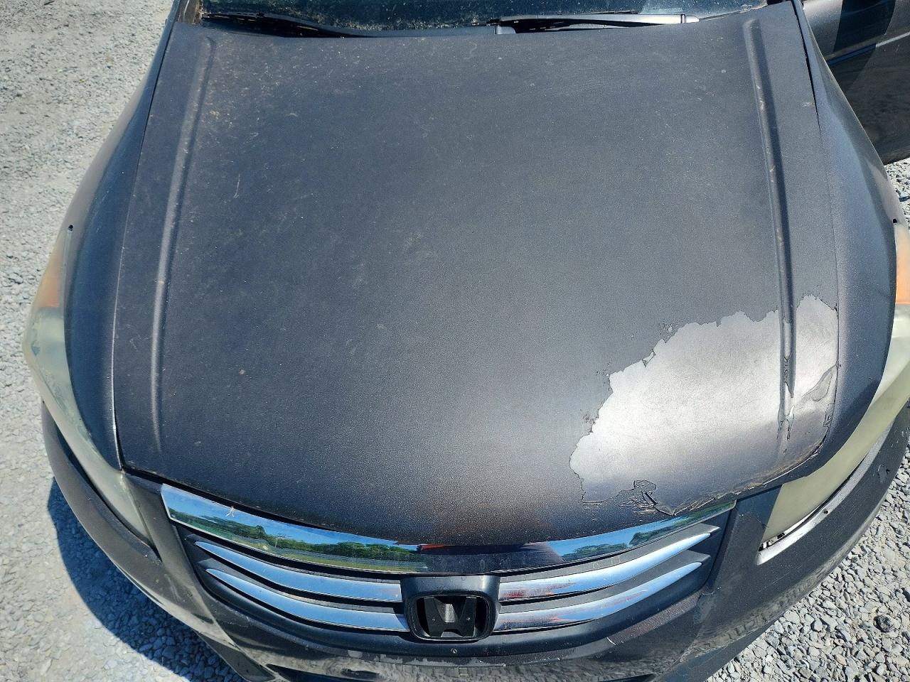2010 HONDA ACCORD EXL photo 21
