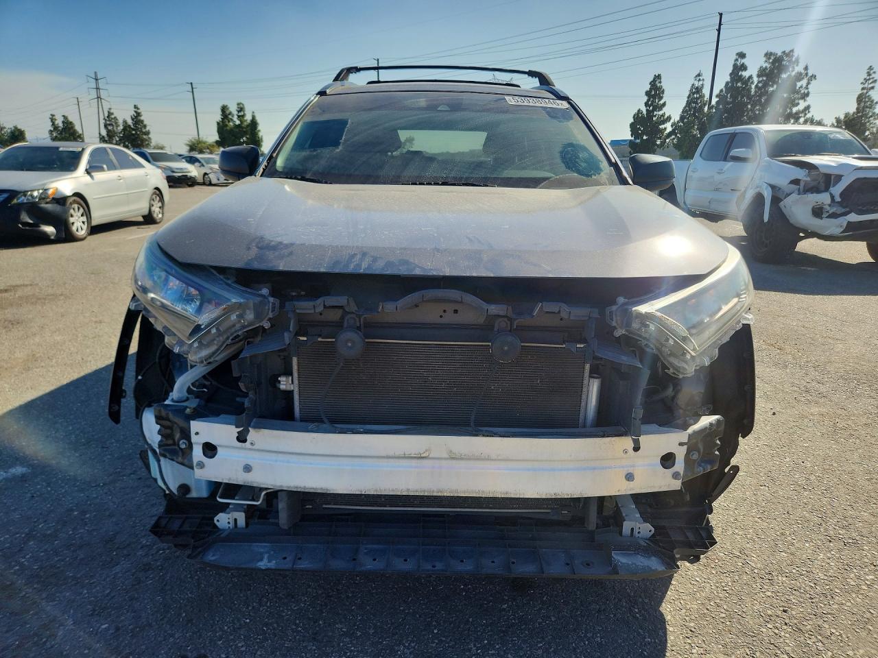 2019 TOYOTA RAV4 LE photo 9