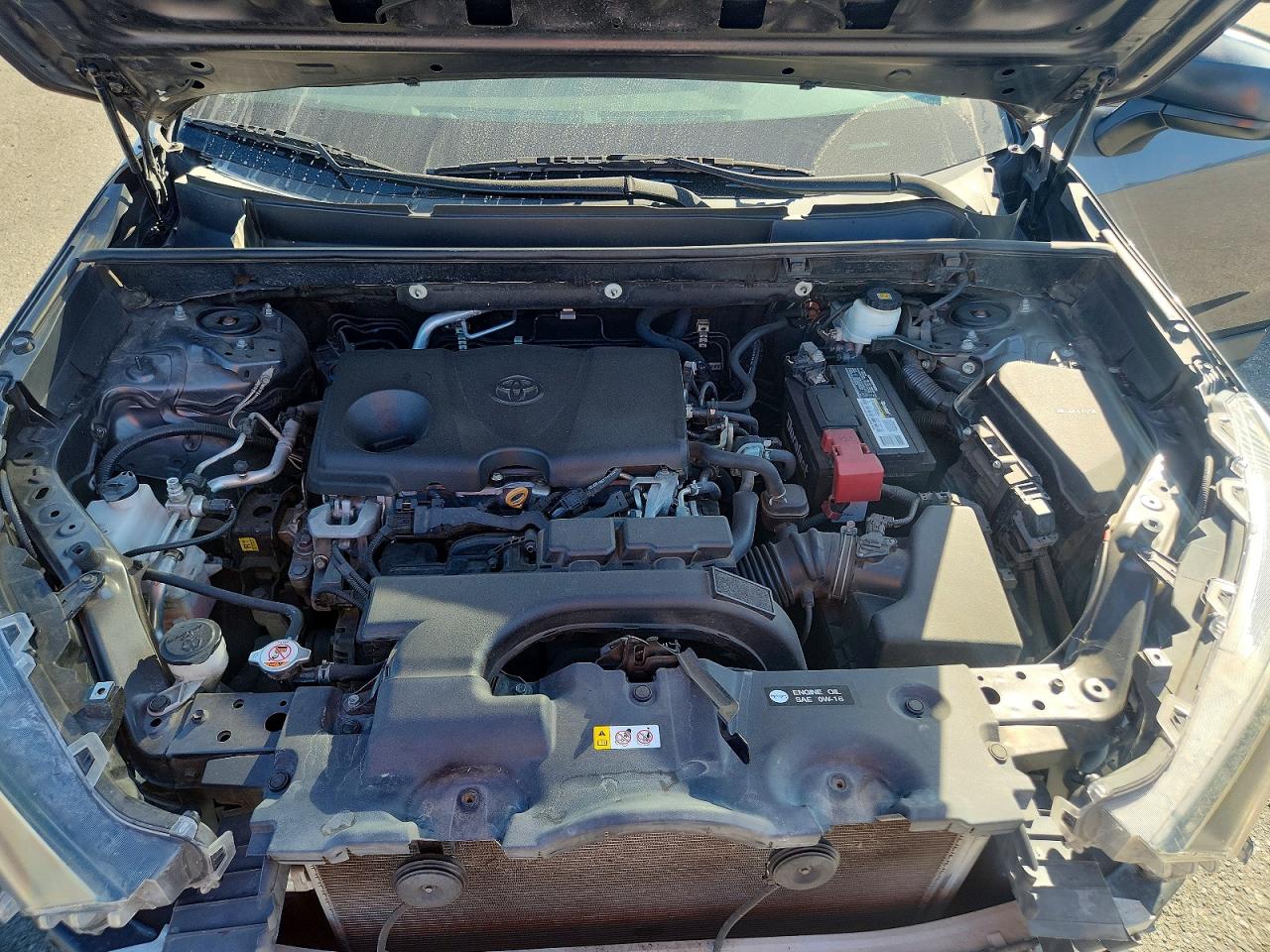 2019 TOYOTA RAV4 LE photo 23