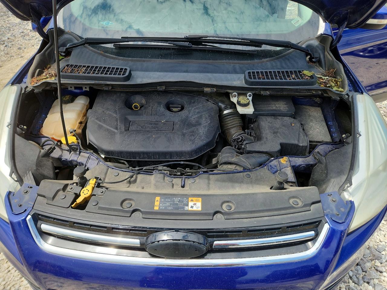 2014 FORD ESCAPE TITANIUM photo 11