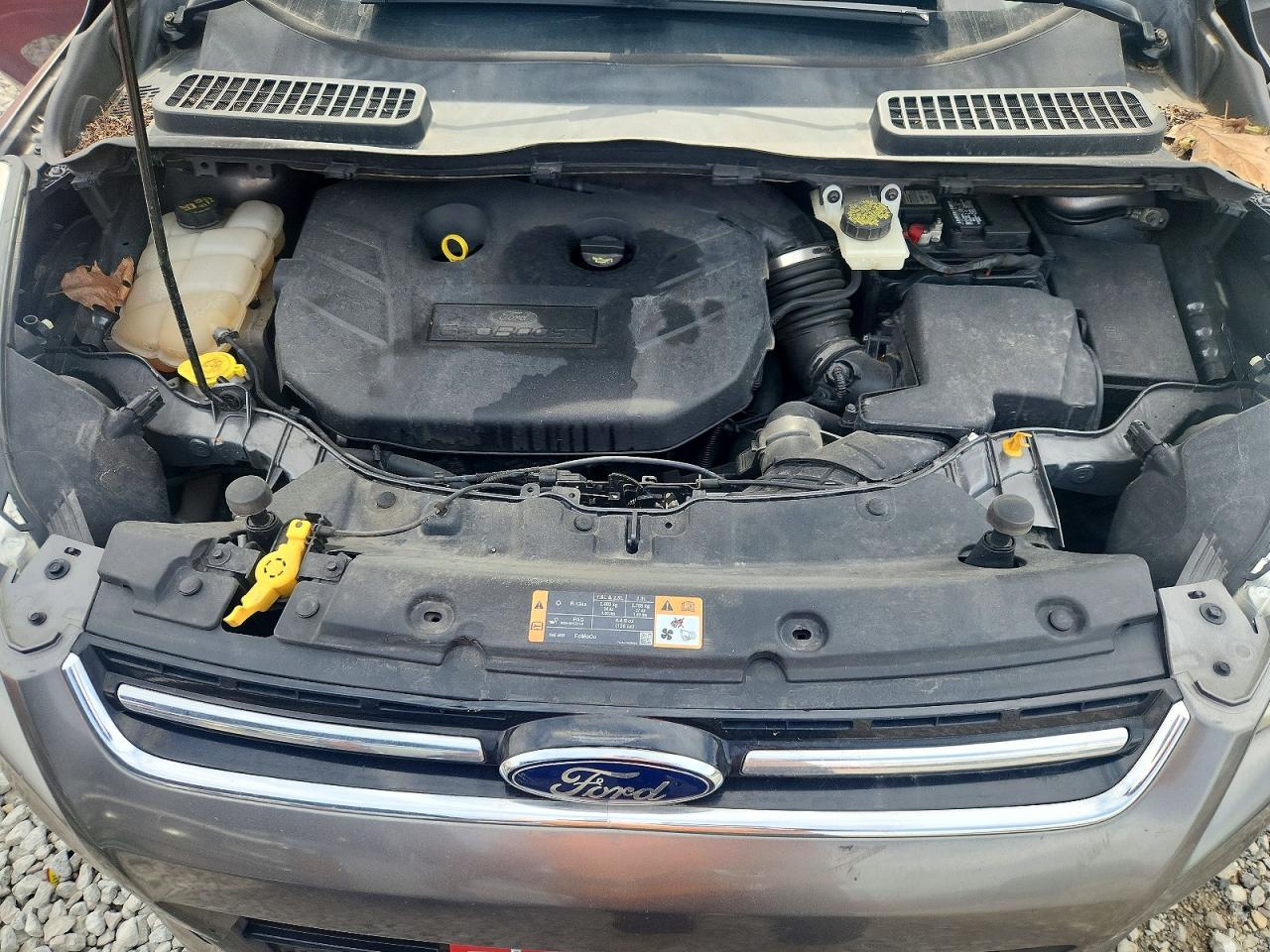 2014 FORD ESCAPE TITANIUM photo 23