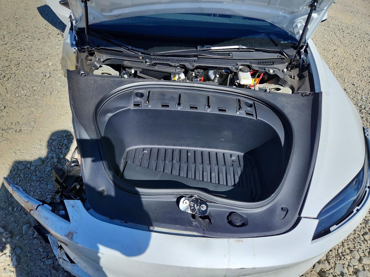 2024 TESLA MODEL 3 photo 31