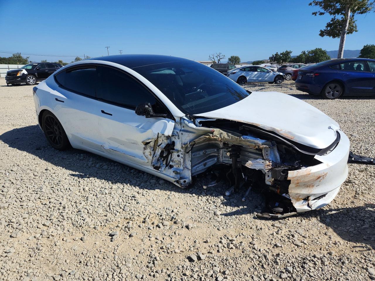 2024 TESLA MODEL 3 photo 10