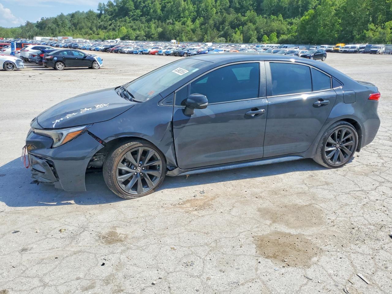 2025 TOYOTA COROLLA