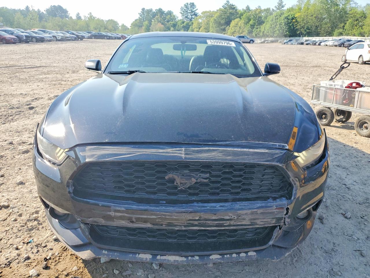 2017 FORD MUSTANG photo 13
