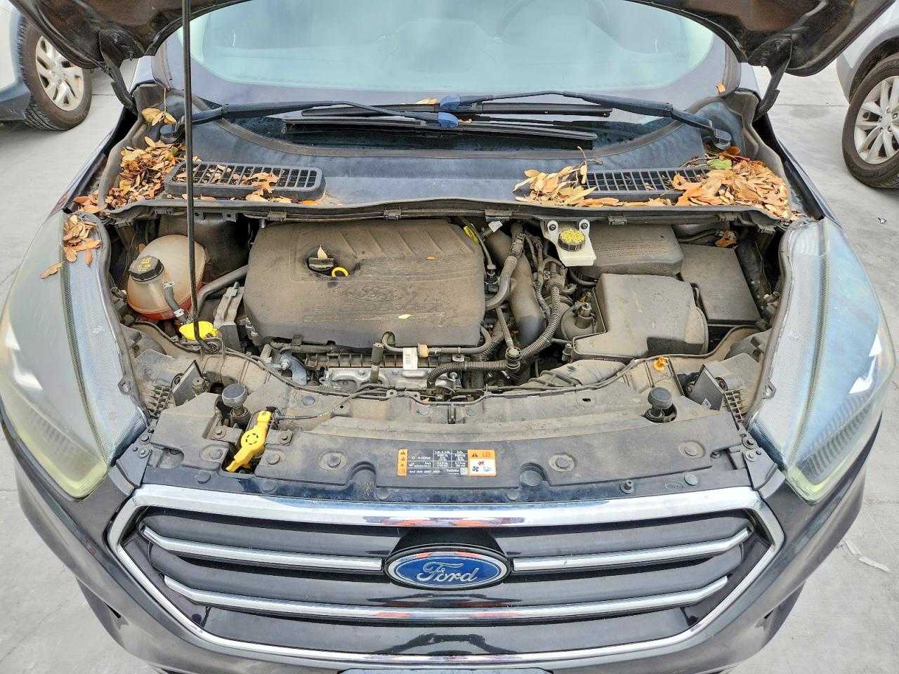 2017 FORD ESCAPE SE photo 23
