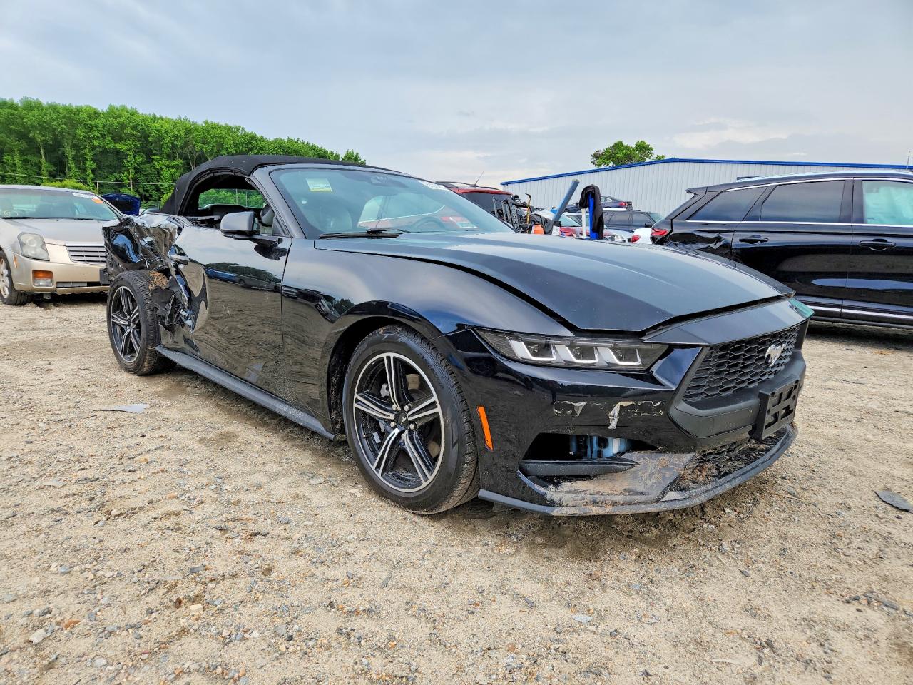 2024 FORD MUSTANG photo 7