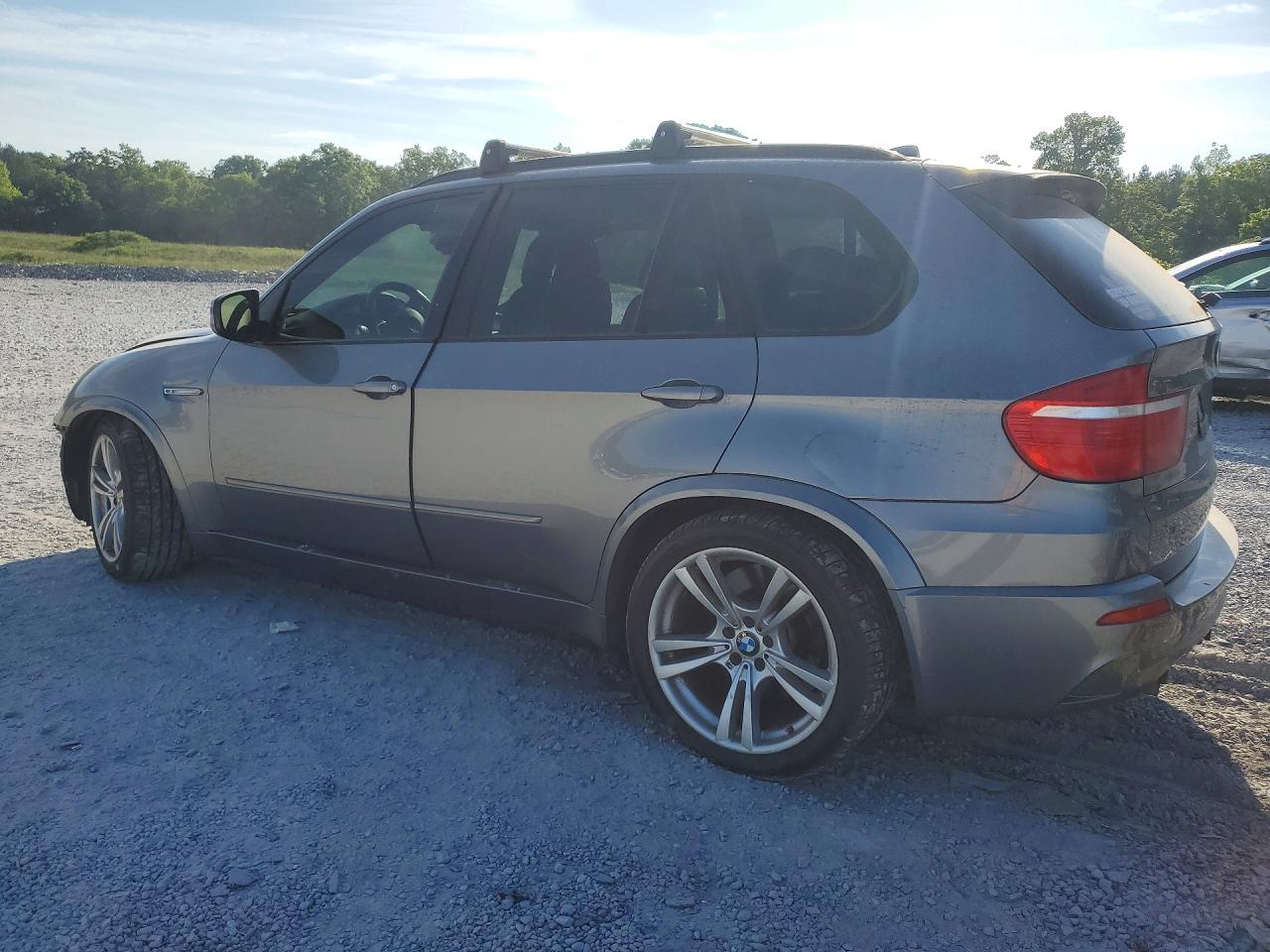 2010 BMW X5 M photo 2