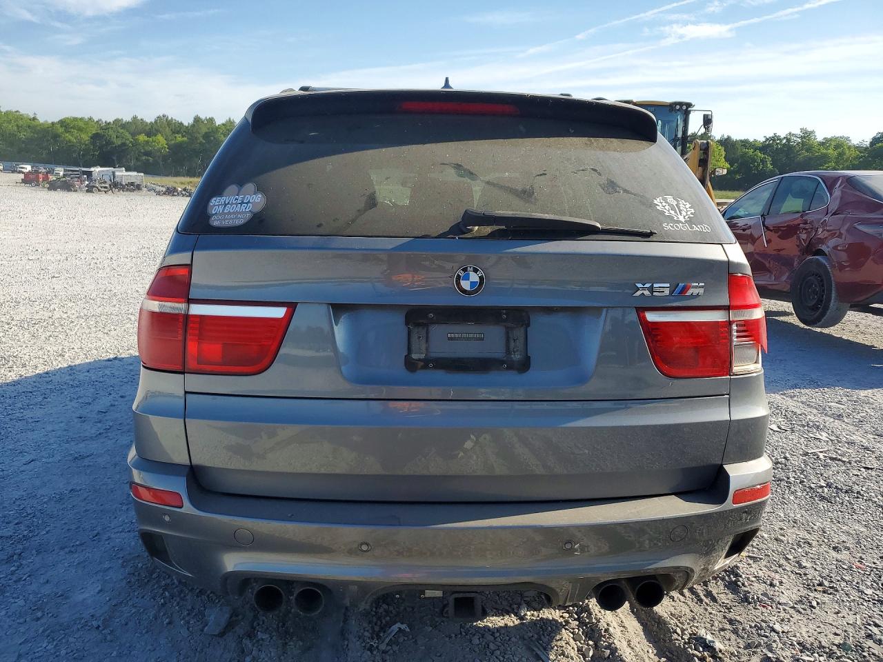 2010 BMW X5 M photo 6