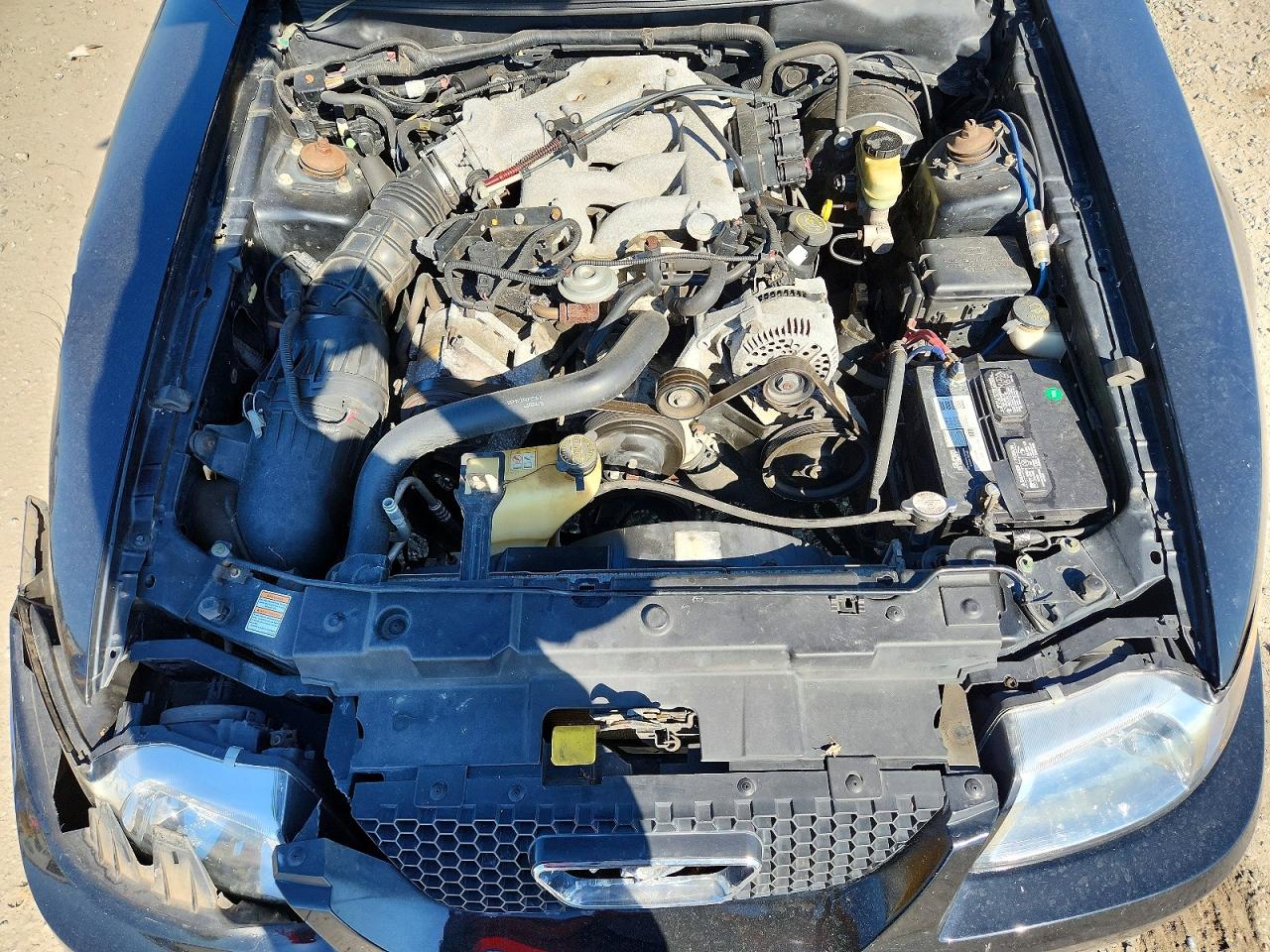 2000 FORD MUSTANG photo 21