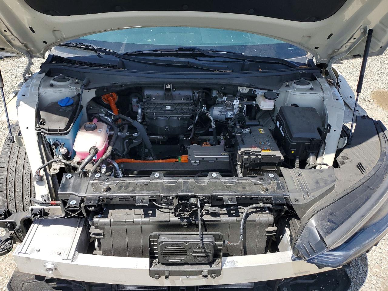 2024 KIA EV6 LIGHT LONG RANGE photo 34