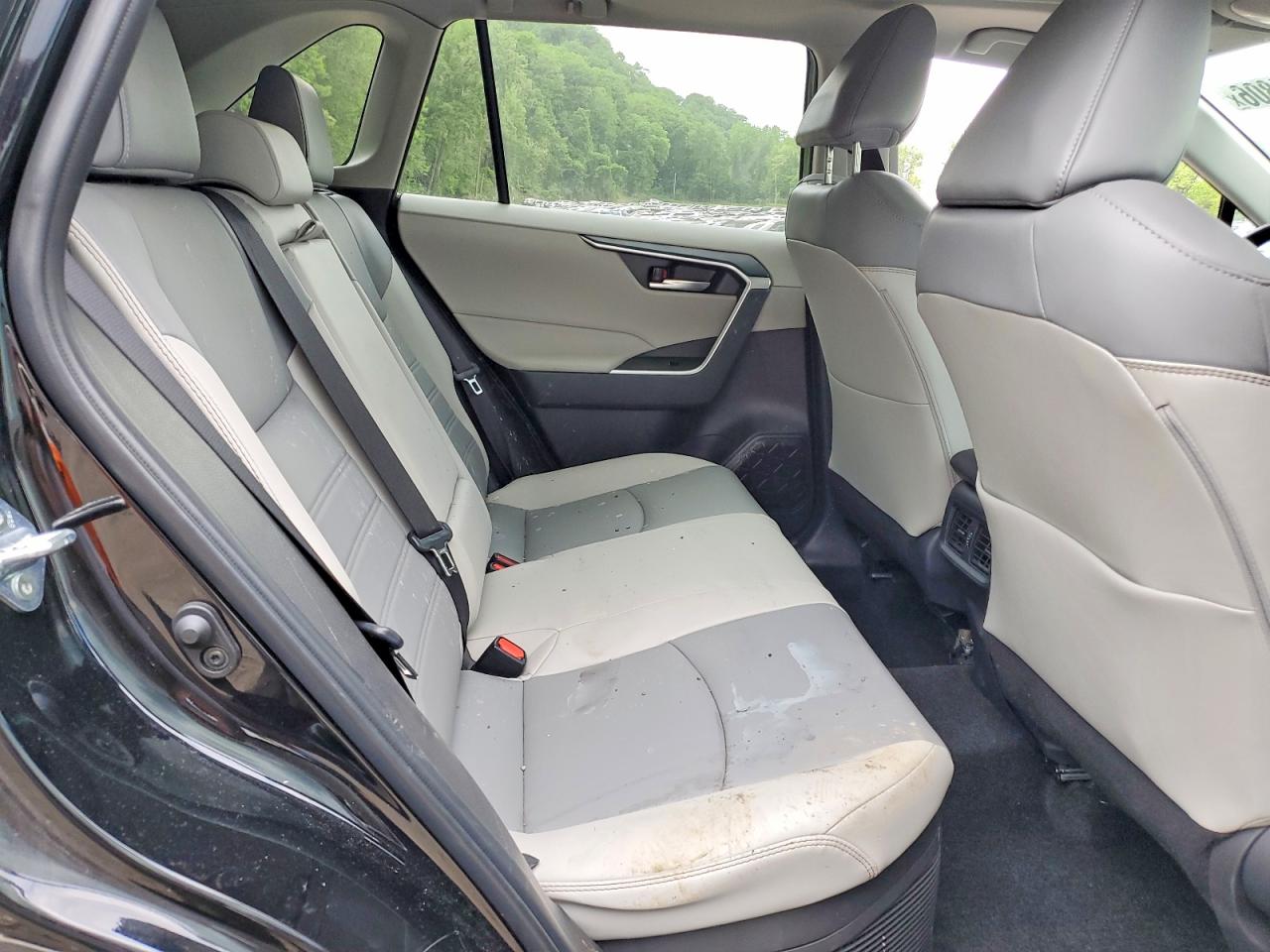 2024 TOYOTA RAV4 XLE PREMIUM photo 19