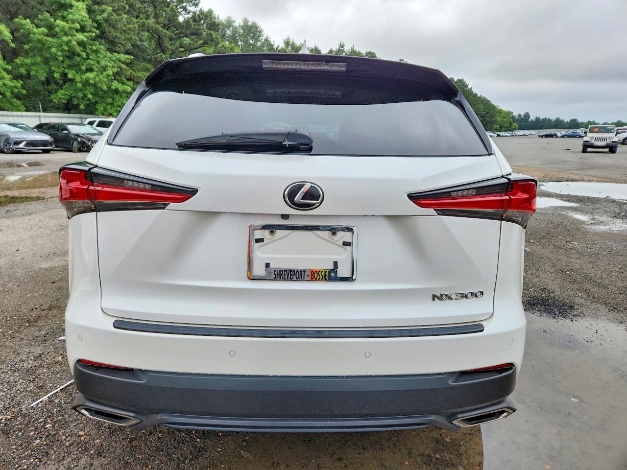 2020 LEXUS NX 300 photo 16