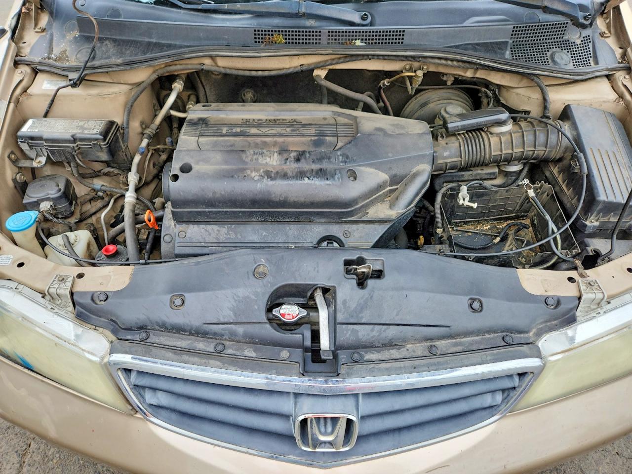 2002 HONDA ODYSSEY LX photo 21