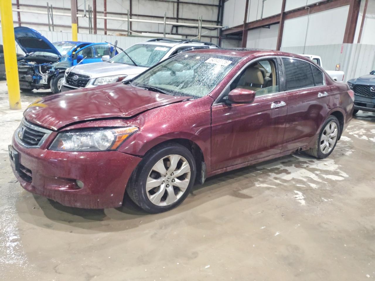 2008 HONDA ACCORD EXL — FRONT END damage — photo 1