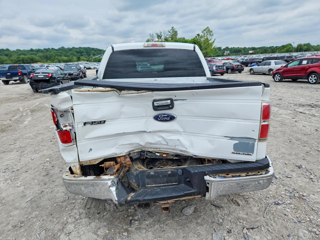 2010 FORD F150 SUPERCREW photo 11
