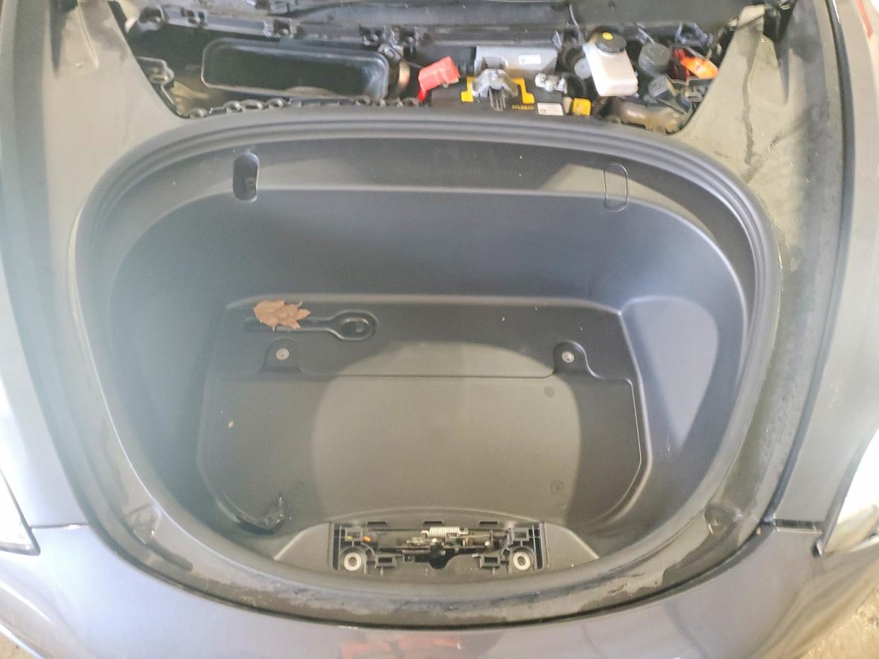 2019 TESLA MODEL 3 photo 11